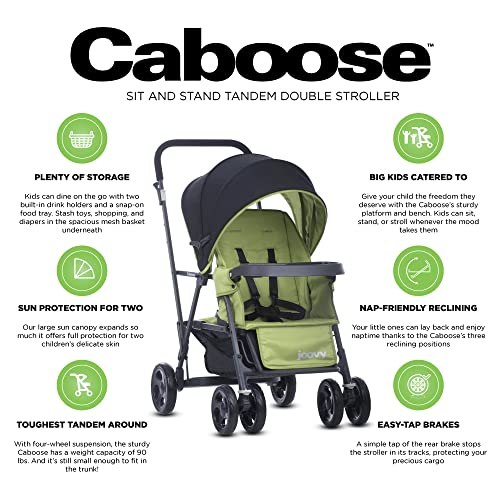 Joovy Caboose Sit and Stand Double Stroller with Rear Bench (Appletree)