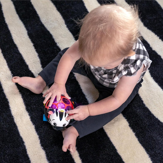 Baby Einstein Curious Car Zen Oball Toy Car & Rattle (Zen the Zebra) - Kidsy