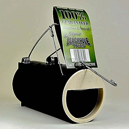 Blackhole Trap - The Original Blackhole Mole, Rodent & Gopher Trap (Black) - Kidsy