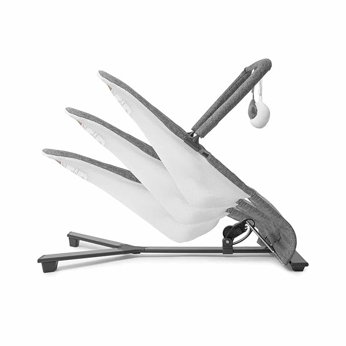 New Baby Delight Alpine Deluxe Portable Bouncer (Charcoal Tweed) - Kidsy