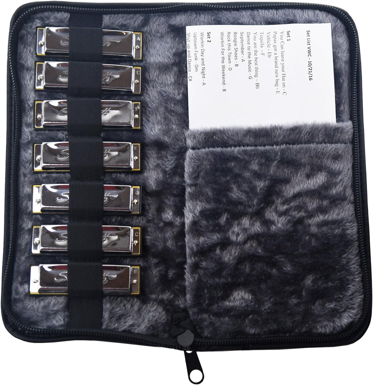 New ChromaCast CC - HTC - 7 Harmonica Travel Case - Kidsy