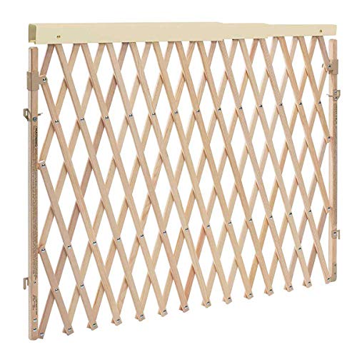 New Evenflo Walk Thru Room Divider Gate - Kidsy
