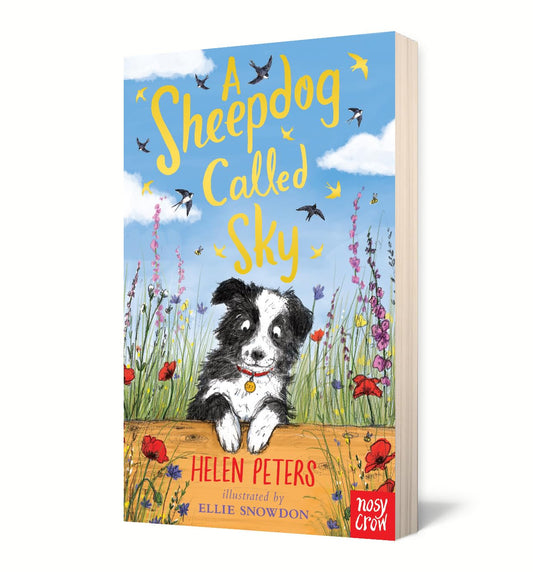New Helen Peters A Sheepdog Called Sky Paperback - Kidsy