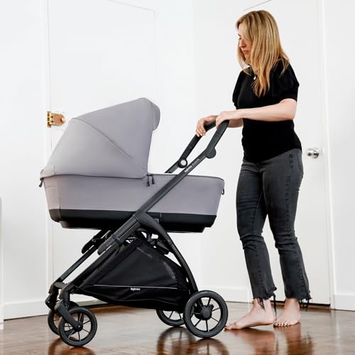New Inglesina Electa Bassinet + Stand for Baby (Chelsea Gray) - Kidsy
