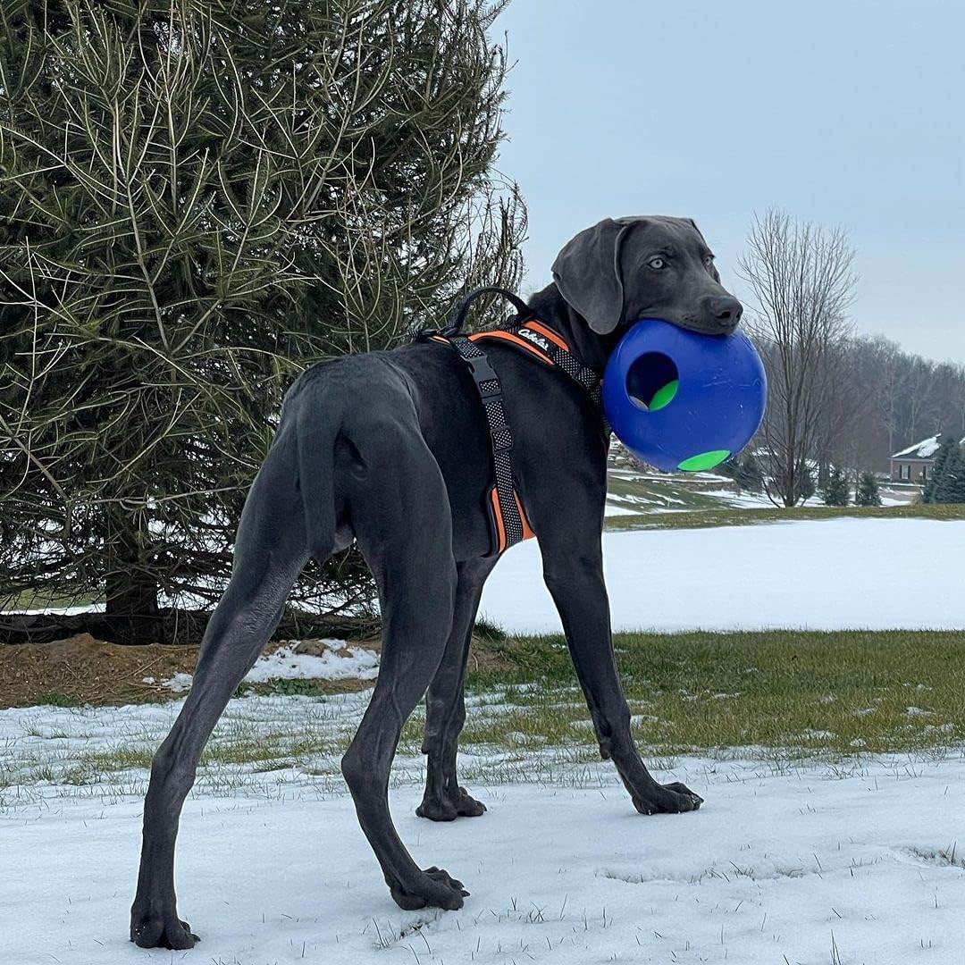 New Jolly Pets Teaser Ball Dog Toy 8 - Inch (Blue) - Kidsy