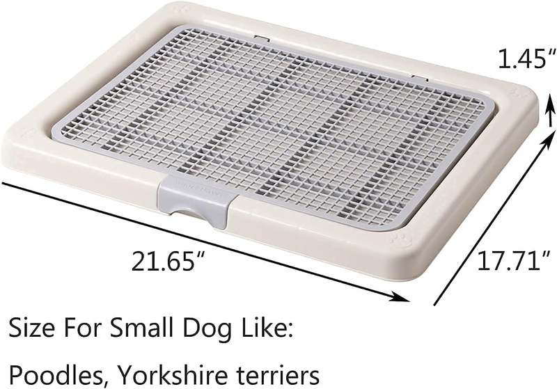 New Smart Paws Small Puppy Dog Toilet (21.65x17.71 Inch) - Kidsy