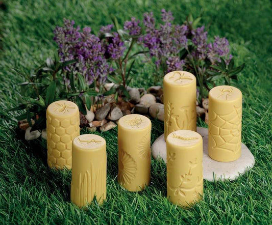 Yellow Door Let's Roll, Garden Bugs, Clay Set of 6 - Kidsy