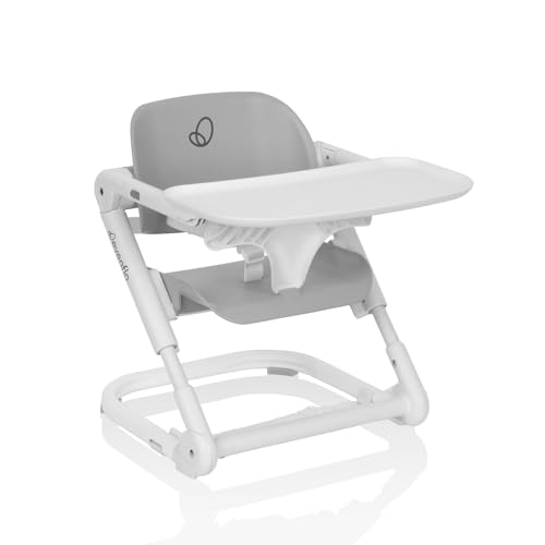 New Evenflo Eat & Go 2-in-1 Portable Folding Booster Chair