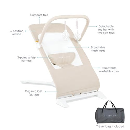 New Baby Delight Alpine Deluxe Portable Bouncer (Organic Oat)