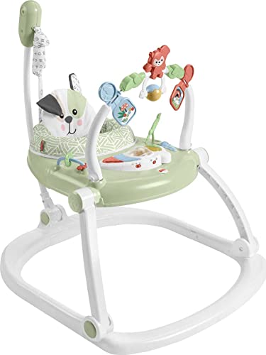 New Fisher-Price Baby Bouncer SpaceSaver Jumperoo Activity Center