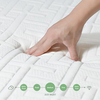 New HOXURY Twin Mattress 10 Inch Green Tea Memory Foam Mattress