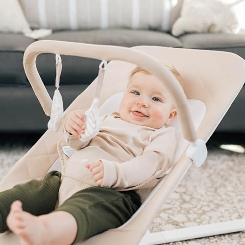 New Baby Delight Alpine Deluxe Portable Bouncer (Organic Oat)