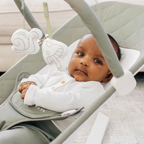 New Baby Delight Alpine Deluxe Portable Baby Bouncer | Infant | 0-6 Months | 100% GOTS Certified Organic Cotton Fabric | Organic Sage