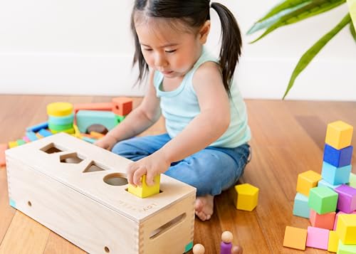 New LOVEVERY | The Block Set | Solid Wood Building Blocks and Shapes