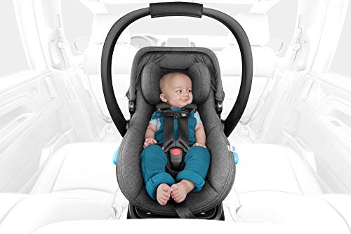 New Clek Liing Infant Car Seat with Adjustable Headrest (Mammoth)