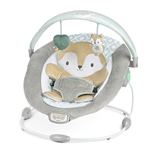 Ingenuity InLighten Bouncer (Kitt)