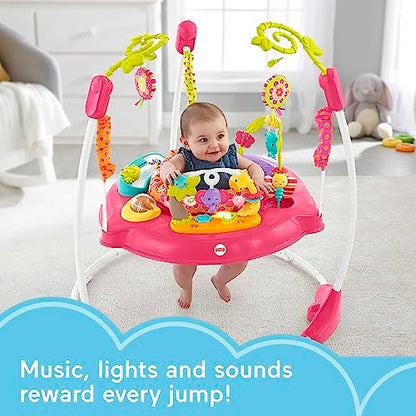 Fisher-Price Baby Bouncer Pink Petals Jumperoo Activity Center (Pink Petals)