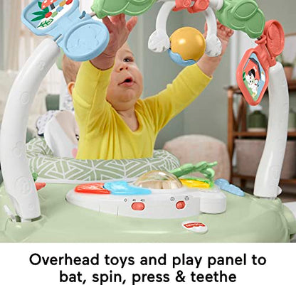 New Fisher-Price Baby Bouncer SpaceSaver Jumperoo Activity Center