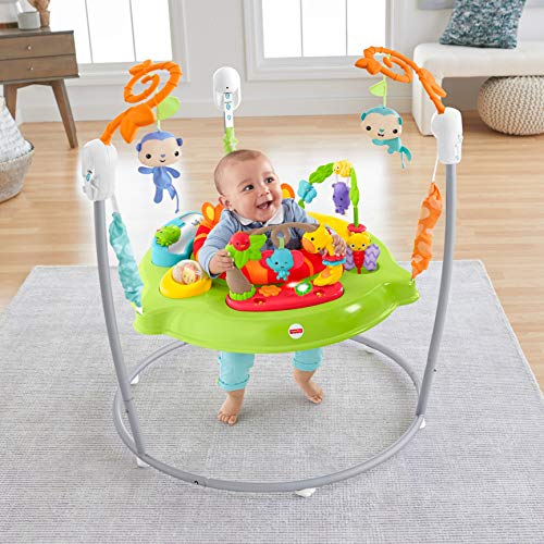 New Fisher-Price Tiger Time Jumperoo Infant Activity Center
