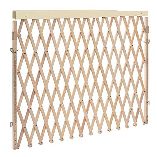 New Evenflo Walk Thru Room Divider Gate