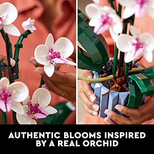 Icons Orchid deals 10311 Artificial Plant Building Set with Flowers