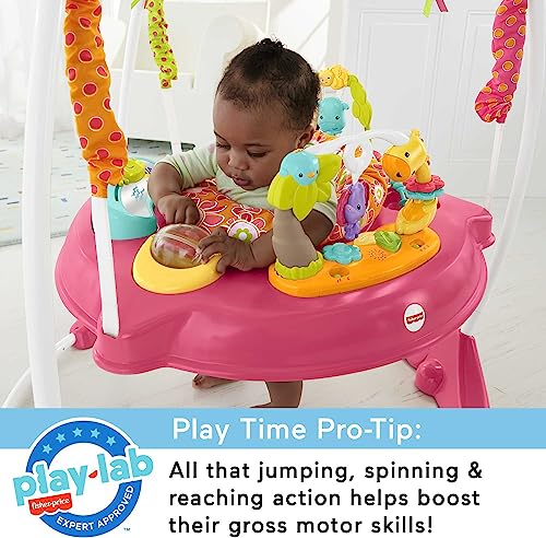 Fisher-Price Baby Bouncer Pink Petals Jumperoo Activity Center (Pink Petals)