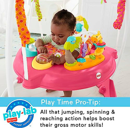 Fisher-Price Baby Bouncer Pink Petals Jumperoo Activity Center (Pink Petals)