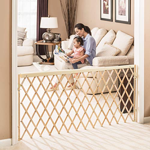 Evenflo Walk Thru Room Divider Gate