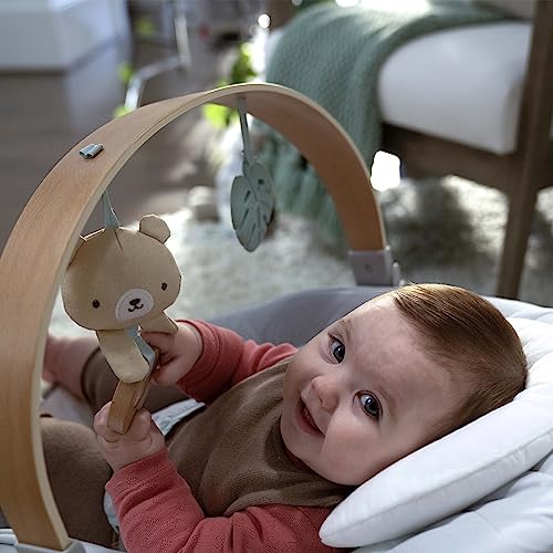 New Ingenuity Cozy Spot Soothing Baby Bouncer with Wooden-Toy Arch, 0-6 Months, Grey