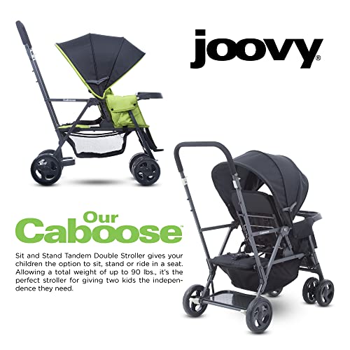 Joovy caboose appletree online