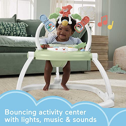 New Fisher-Price Baby Bouncer SpaceSaver Jumperoo Activity Center