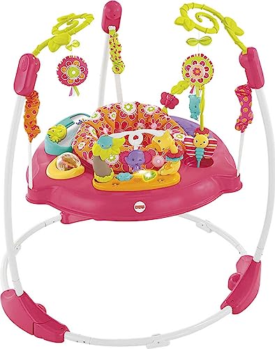 Fisher-Price Baby Bouncer Pink Petals Jumperoo Activity Center (Pink Petals)