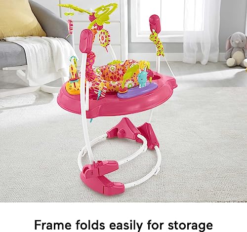 Fisher-Price Baby Bouncer Pink Petals Jumperoo Activity Center (Pink Petals)