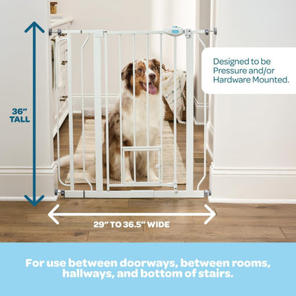 Carlson 36" Extra Tall Walk-Through Dog Gate, 29-36.5" Wide (White)