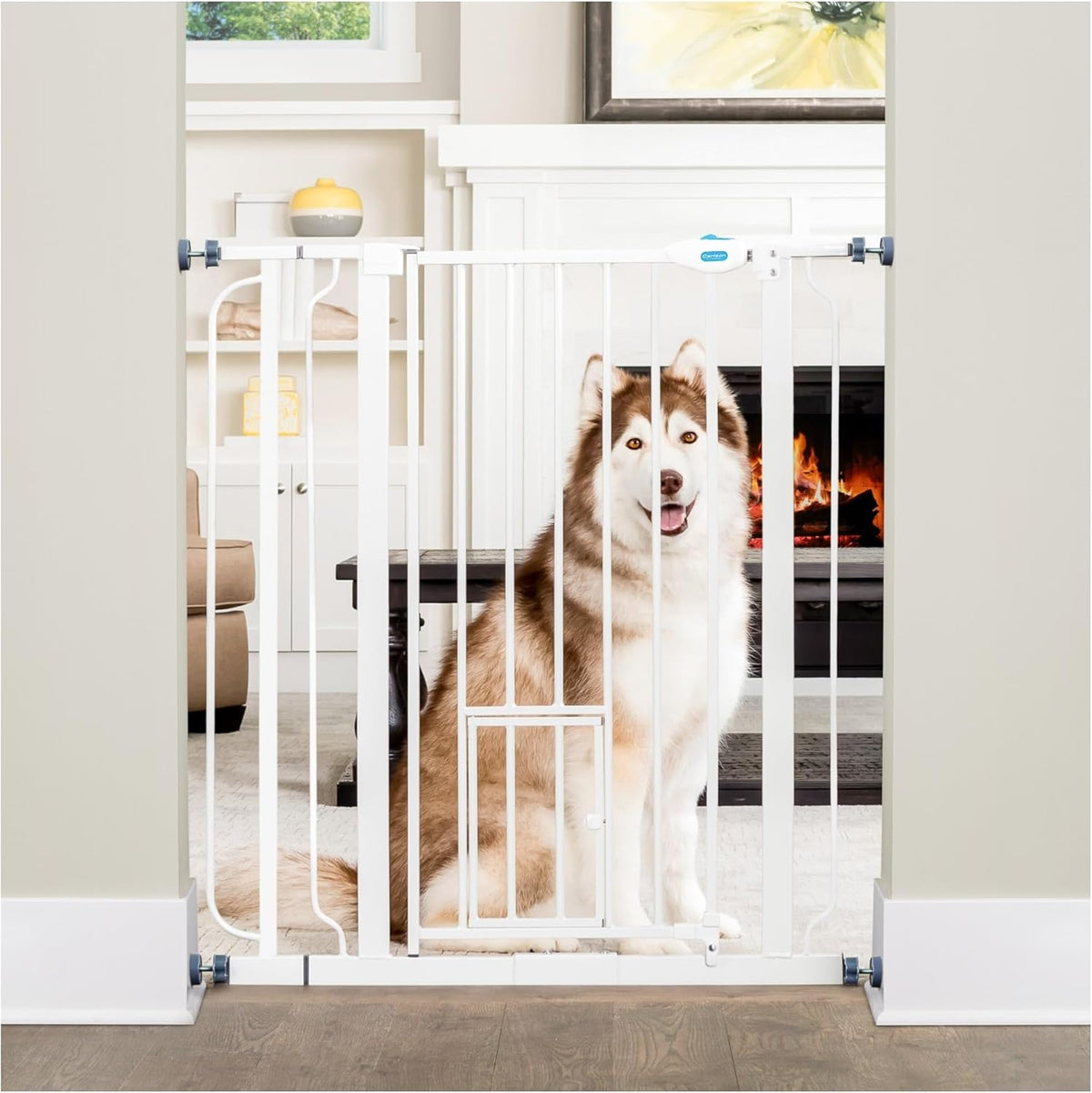 Carlson 36" Extra Tall Walk-Through Dog Gate, 29-36.5" Wide (White)