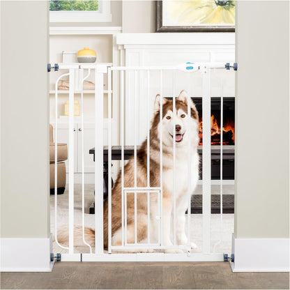 Carlson 36" Extra Tall Walk-Through Dog Gate, 29-36.5" Wide (White)
