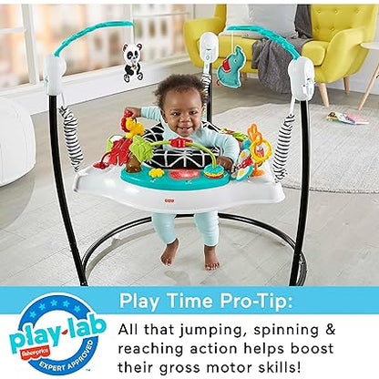 Fisher-Price Baby Bouncer Animal Wonders Jumperoo Activity Center