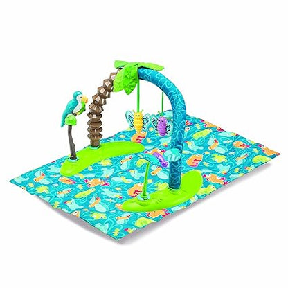 Evenflo Exersaucer Activity Saucer and Bouncer - Life in the Amazon