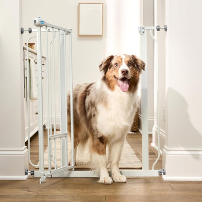 Carlson 36" Extra Tall Walk-Through Dog Gate, 29-36.5" Wide (White)