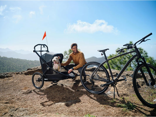 Baby Jogger Bike Trailer Conversion Kit (Black)