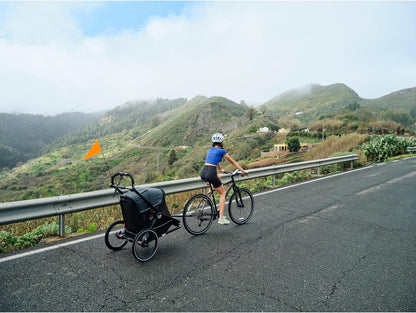 Baby Jogger Bike Trailer Conversion Kit (Black)