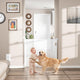 Babepai Retractable Baby & Dog Gate, 34 in Tall x 54 in Wide (White) - Kidsy