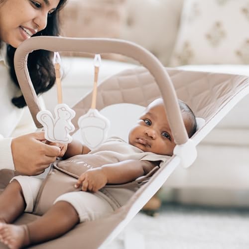 Baby Delight Alpine Deluxe Portable Baby Bouncer (Organic Mocha) - Kidsy