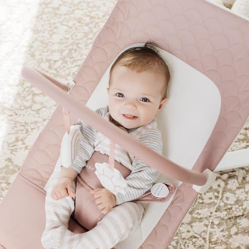 Baby Delight Alpine Deluxe Portable Baby Bouncer (Organic Rose) - Kidsy