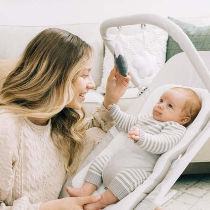 Baby Delight Alpine Wave Deluxe Portable Bouncer (Driftwood Grey) - Kidsy