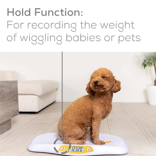 Beurer BY80 Digital Baby Scale, Infant Scale for Weighing - Kidsy