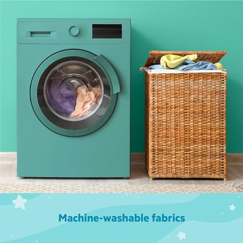 Bright Starts Disney Baby Finding Nemo Sea of Activities (Blue) - Kidsy