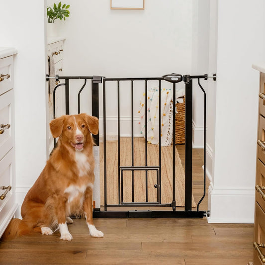 Carlson 29.5–36.5” Extra Wide Dog Gate with Small Pet Door (Black, Metal) - Kidsy