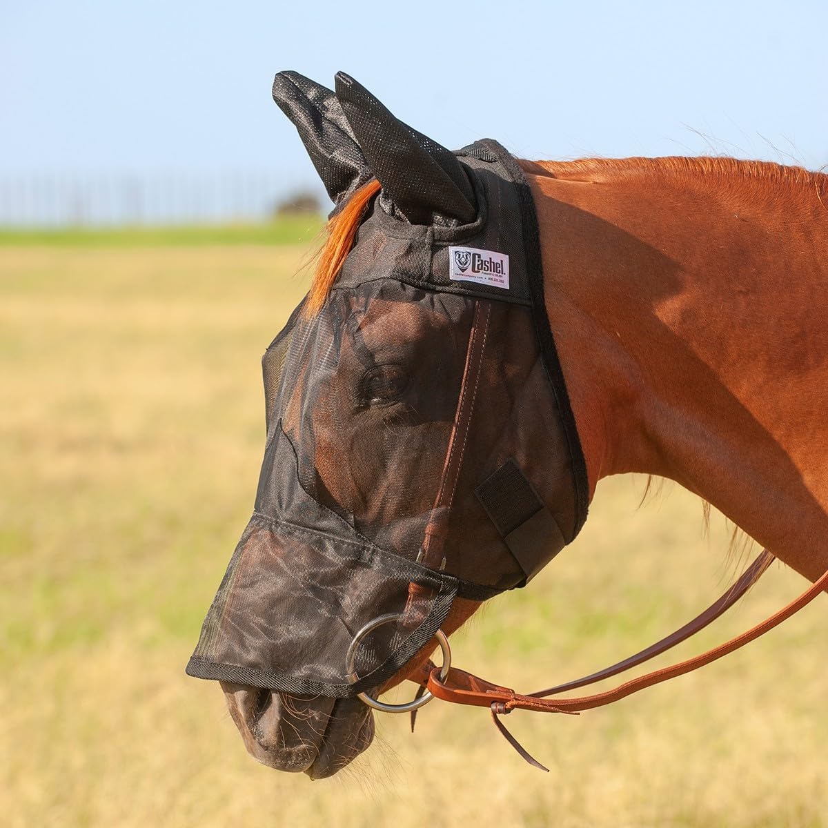 Cashel Quiet Ride Horse Fly Mask, Long Nose with Ears (Black, Arabian) - Kidsy