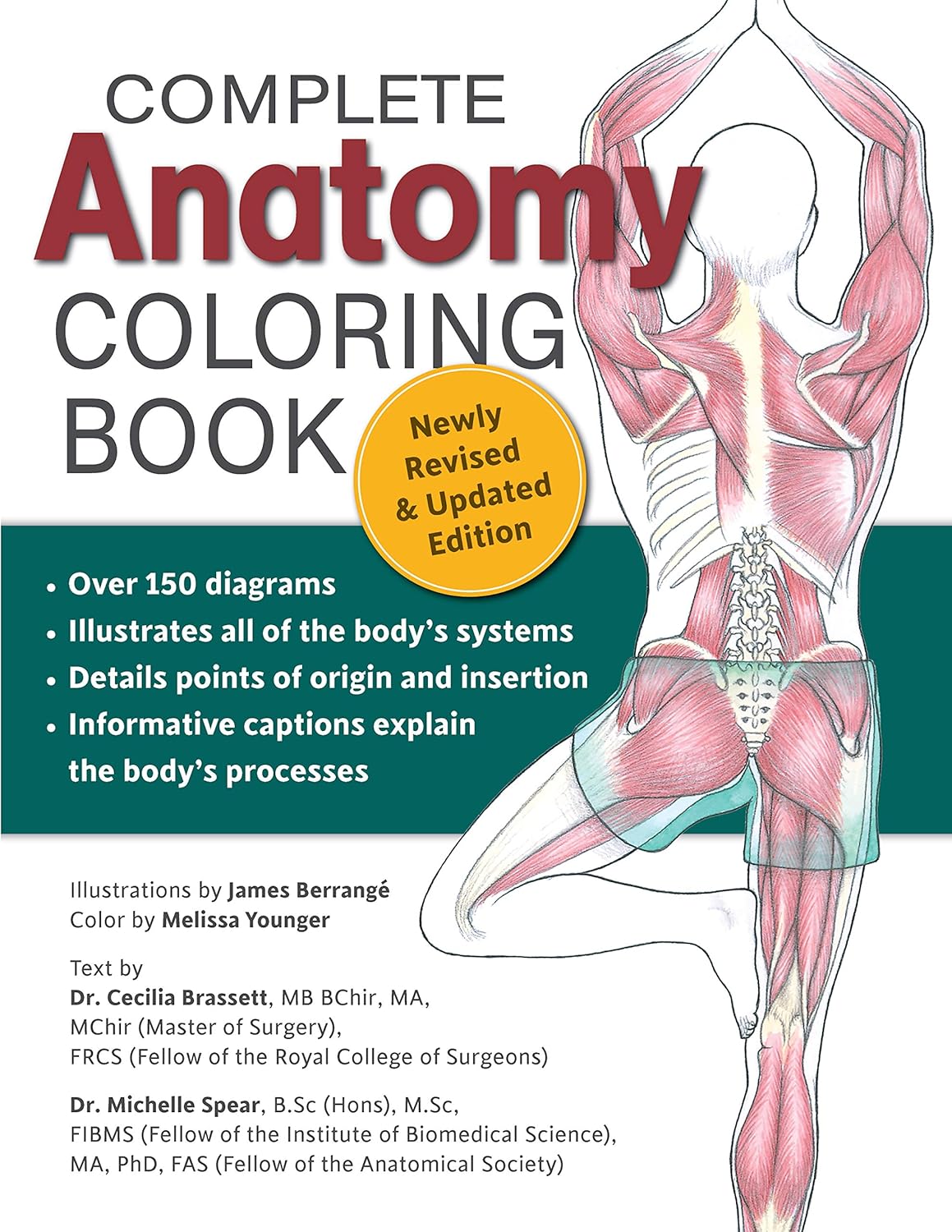 Design Originals Complete Anatomy Coloring Book